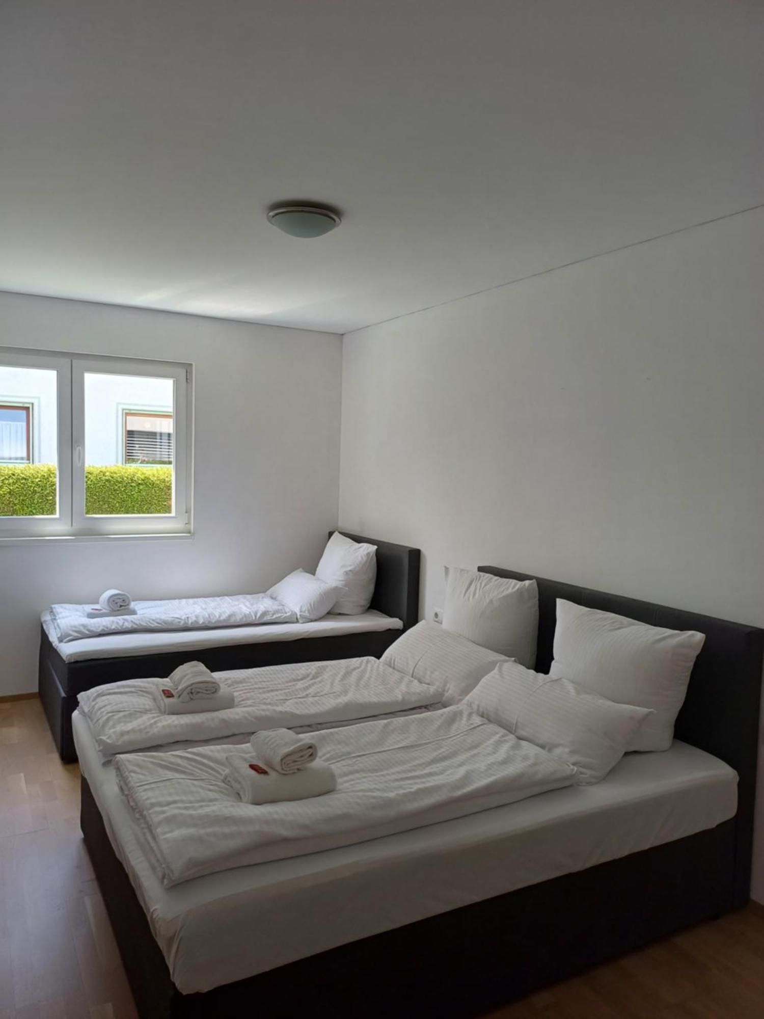 Crown Living Design Apartment - Gratis Parkplatz - Wlan - Kueche - Self Check-In Altach المظهر الخارجي الصورة